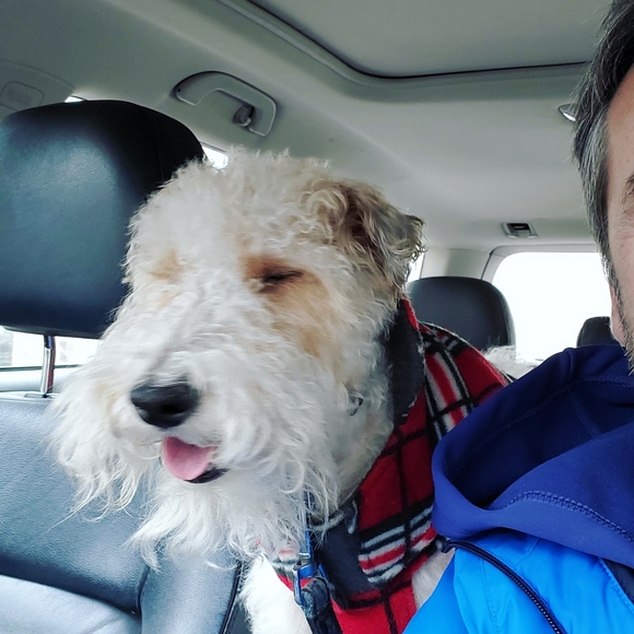 Meet your Posher, Dusan - Picture 3 of 8